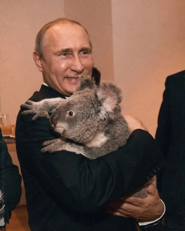 Вы знали, что наш президент – не просто политик мирового масштаба, но и человек, искренне любящий животных? Вы знали, что наш президент – не просто политик мирового масштаба, но и человек, искренне любящий животных?