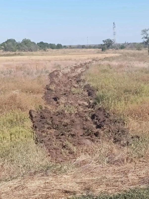 В Верхнем Рогачике принимают меры по предотвращению ландшафтных пожаров В Верхнем Рогачике принимают меры по предотвращению ландшафтных пожаров