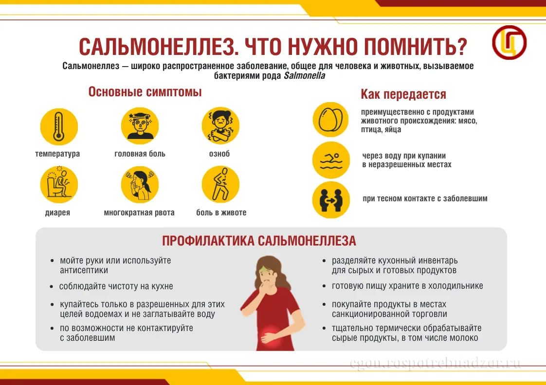 Сальмонеллёз. Меры профилактики