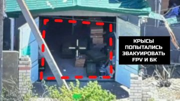 Владислав Шурыгин: Операторы подразделения БПС 1430 гвардейского полка выжгли позиции ВСУ