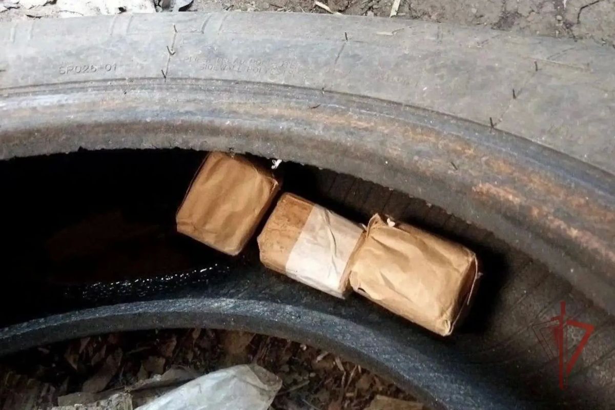 В Херсонской и Запорожской областях Росгвардия изъяла более 1700 боеприпасов В Херсонской и Запорожской областях Росгвардия изъяла более 1700 боеприпасов