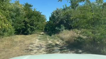 Специалисты Голопристанского лесхоза проводят патрулирование лесных массивов