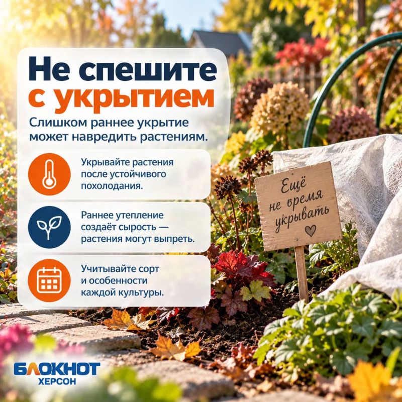 Укрыть, пересадить или оставить в покое: готовим огород к зиме заранее Укрыть, пересадить или оставить в покое: готовим огород к зиме заранее