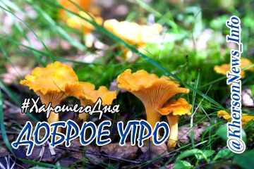 Доброе утро, друзья!. Утро нового, по-осеннему прекрасного дня! Это значит, что перед нами открываются новые дороги и новые возможности