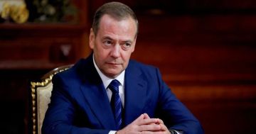 Дмитрий Медведев назвал защиту гражданских объектов от беспилотников приоритетной задачей