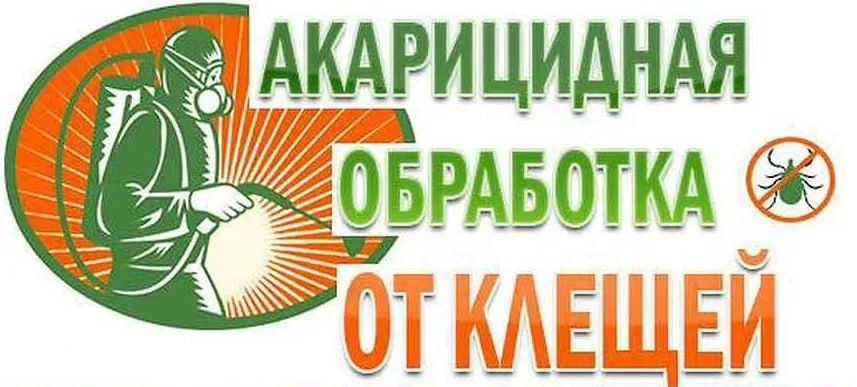 Внимание! В Скадовске пройдёт акарицидная обработка общественных территорий