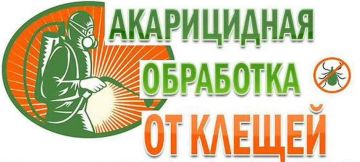 Внимание! В Скадовске пройдёт акарицидная обработка общественных территорий
