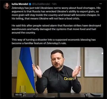 "Катастрофа!" Мендель набросилась на Зеленского из-за ситуации на Украине