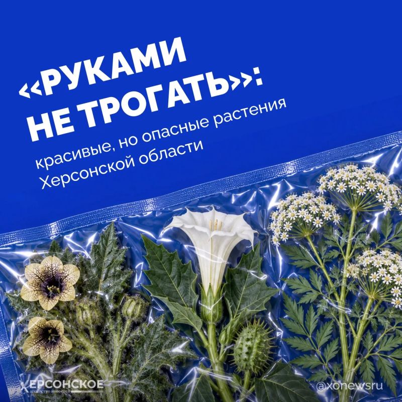 Бескрайние степи, плавни Днепра с их камышовыми лабиринтами, берега, омываемые Черным и Азовским морями