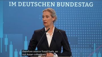 В Германии требуют вернуть газ из России и запустить АЭС