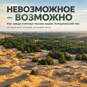 Степной лес — невозможное возможно
