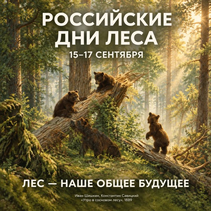 Российские дни леса. С 15 по 17 сентября проходят Российские дни леса — экологическая дата, которая помогает привлечь внимание к сохранению лесных территорий и ответственному отношению к природным ресурсам