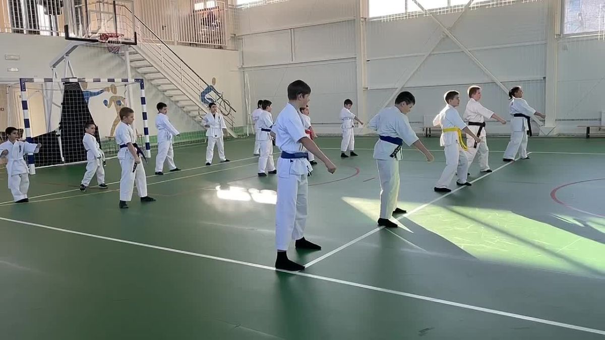 В Новоалексеевке на базе спортивной школы №2 открылась секция карате