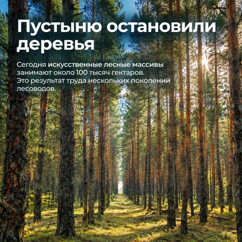 Степной лес — невозможное возможно Степной лес — невозможное возможно