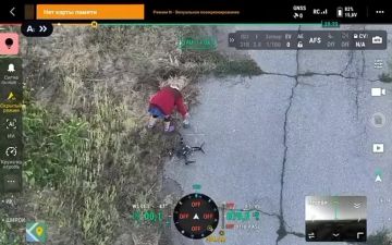 ������� ������������� ����������� �� ����������� ������ ���