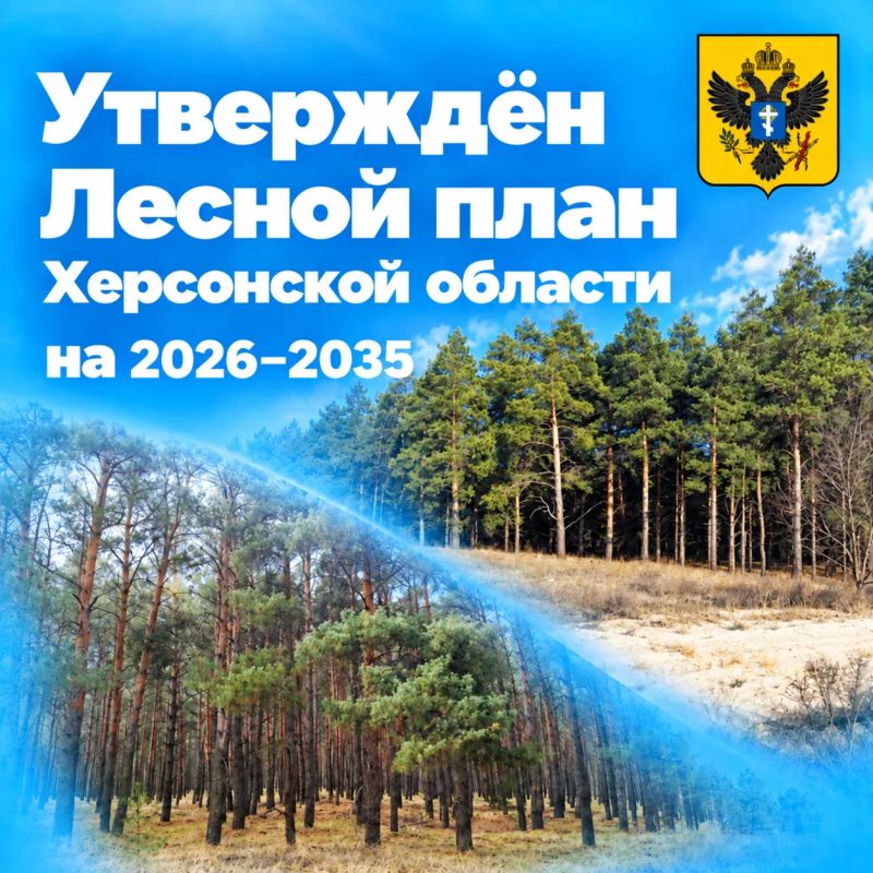 Владимир Сальдо: Утвердил Лесной план Херсонской области на 2026–2035 годы