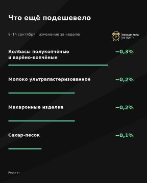 Что подорожало и подешевело в России с 8 по 14 сентября (по данным Росстата)
