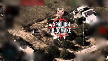 Владислав Шурыгин: Кто-кто в теремочке живёт? А больше никто не живёт