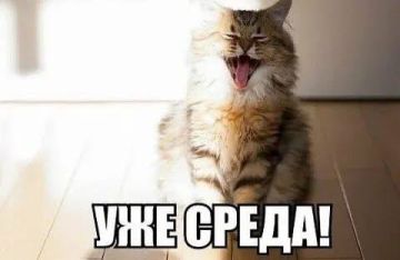 Среда — самый продуктивный день недели