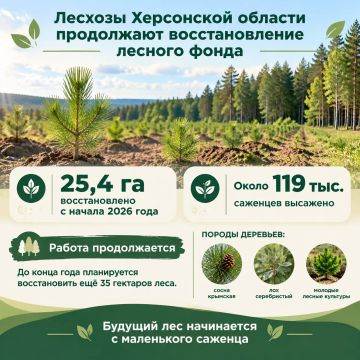 Лесхозы Херсонской области продолжают восстановление лесного фонда