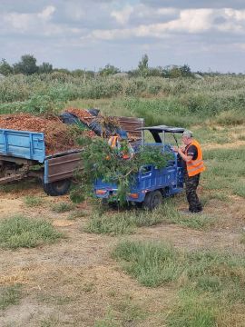 Забота о каждом уголке: работники МКУ «Горжилстрой» провели работы по благоустройству