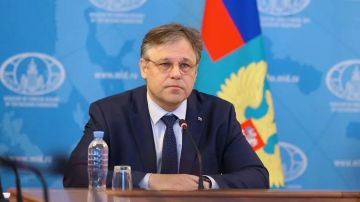 До 40 тысяч иностранцев и вербовка через посольства: Мирошник сделал ряд заявлений о ВСУ