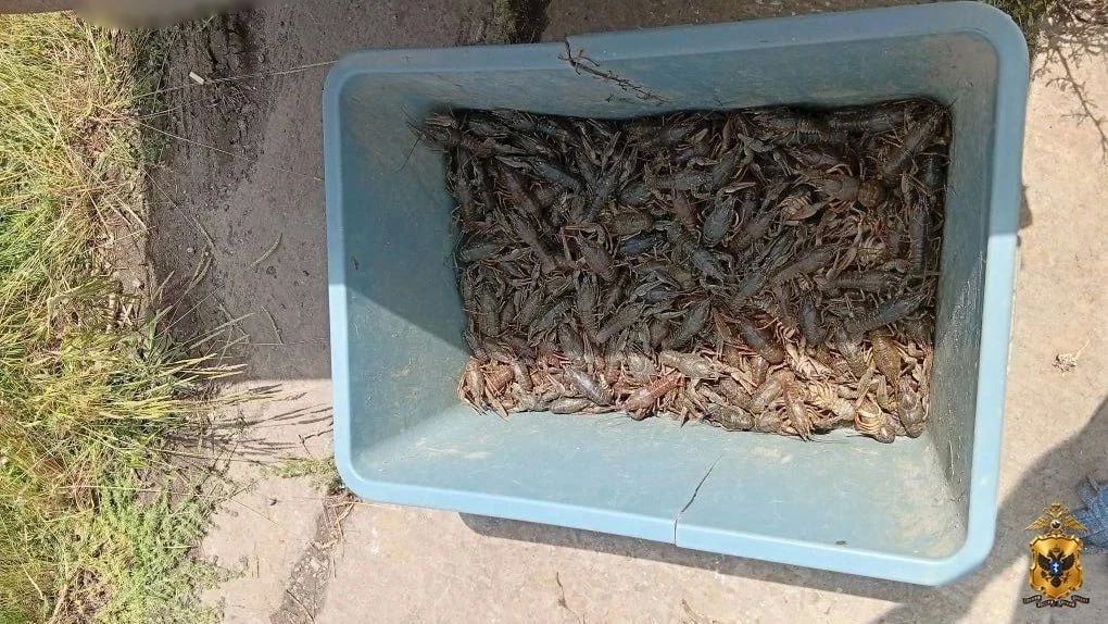 Житель Новотроицкого округа осужден за незаконный вылов водных биологических ресурсов Житель Новотроицкого округа осужден за незаконный вылов водных биологических ресурсов