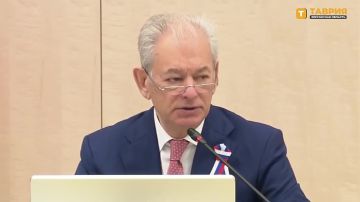 Воссоединенные субъекты полностью интегрированы в избирательную систему России, заявил зампредседателя ЦИК