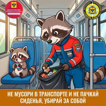 Общественный транспорт и правила поведения в нём