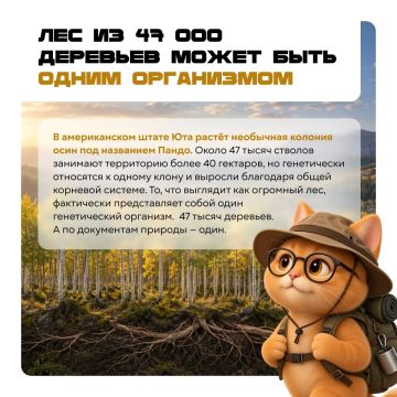 ������� ����� �������� ������� ������ ��������