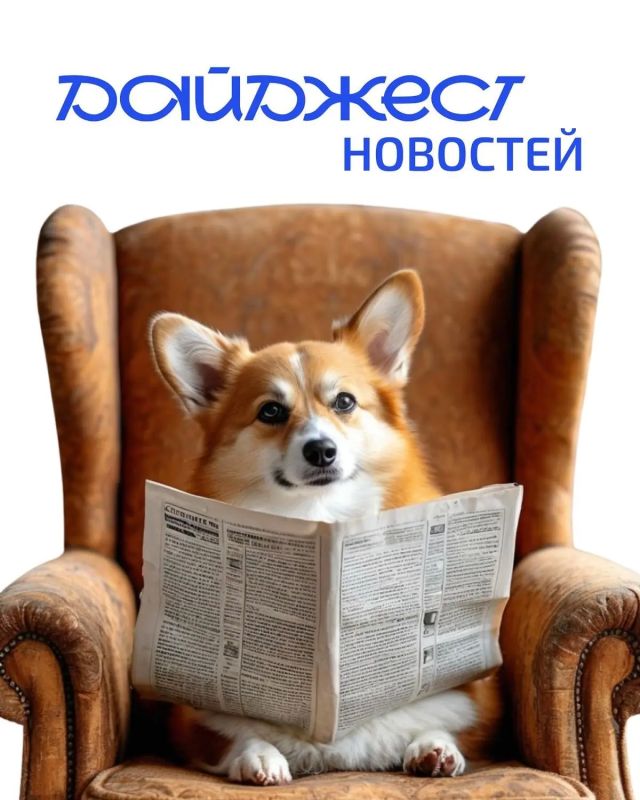 Дайджест. Мы подготовили для вас новые новости этой недели