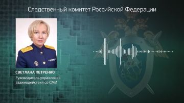Официальный представитель СК России Светлана Петренко: