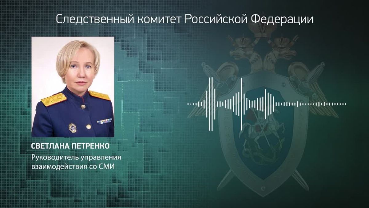 Официальный представитель СК России Светлана Петренко: