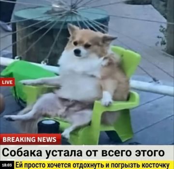 К срочным новостям вторника