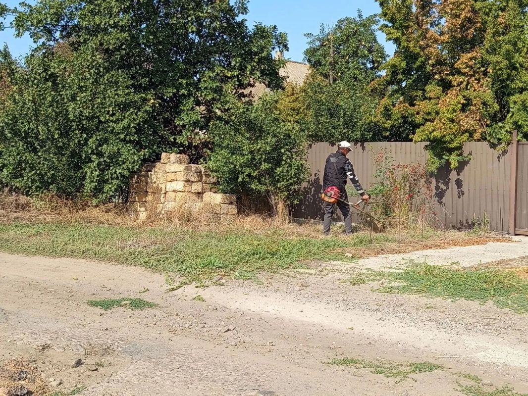 В селе Александровка навели порядок на территории бесхозных домовладений В селе Александровка навели порядок на территории бесхозных домовладений