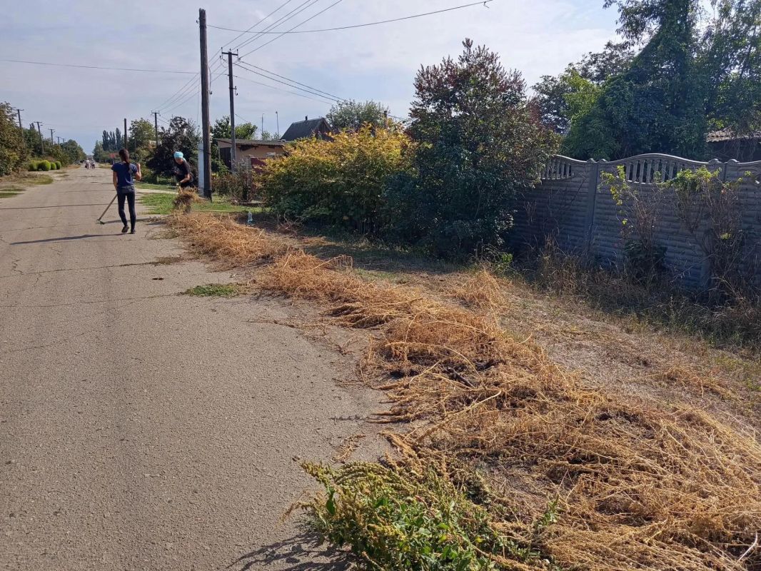 В селе Александровка навели порядок на территории бесхозных домовладений В селе Александровка навели порядок на территории бесхозных домовладений