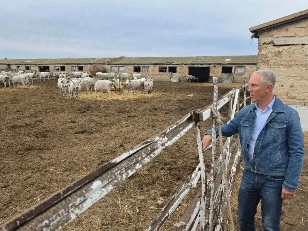 «Аскания-Нова»: наука и сельское хозяйство работают вместе — Владимир Сальдо «Аскания-Нова»: наука и сельское хозяйство работают вместе — Владимир Сальдо