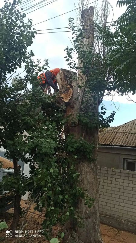 Генический округ становится чище благодаря труду МКУ “Азовкоммунсервис” Генический округ становится чище благодаря труду МКУ “Азовкоммунсервис”