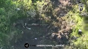���������: ���� �� ������