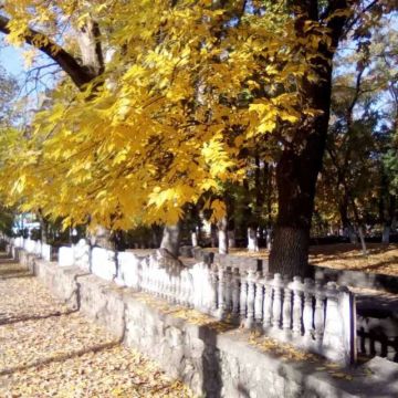 Доброе утро, Херсонщина!. Цветная осень - вечер года -