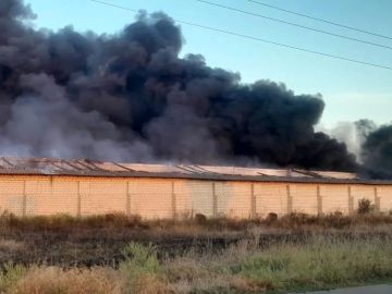 В Алешкинском округе с начала лета было не менее десятка пожаров