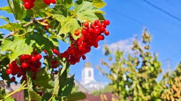 Красивого всем утра, хорошего дня, добрых новостей!