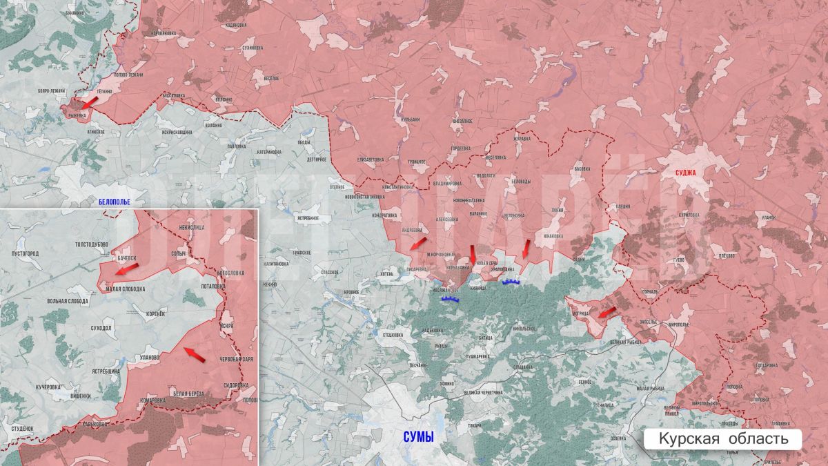 Олег Царёв: Фронтовая сводка 24 сентября Олег Царёв: Фронтовая сводка 24 сентября