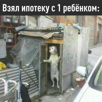 �������� ������� ����������: � ������� ������ ����� �������� �� ���������� �����