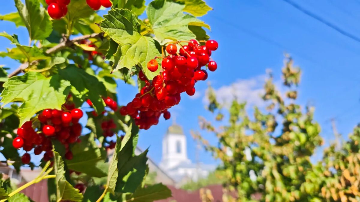 Красивого всем утра, хорошего дня, добрых новостей!