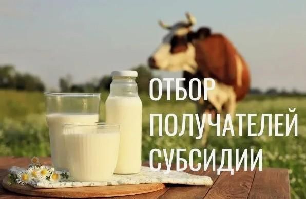Опека и уход за пенсионером: как подтвердить статус и в чём их отличие? Опека и уход за пенсионером: как подтвердить статус и в чём их отличие?