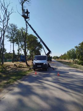 ���� �� ���������: ���������� �������