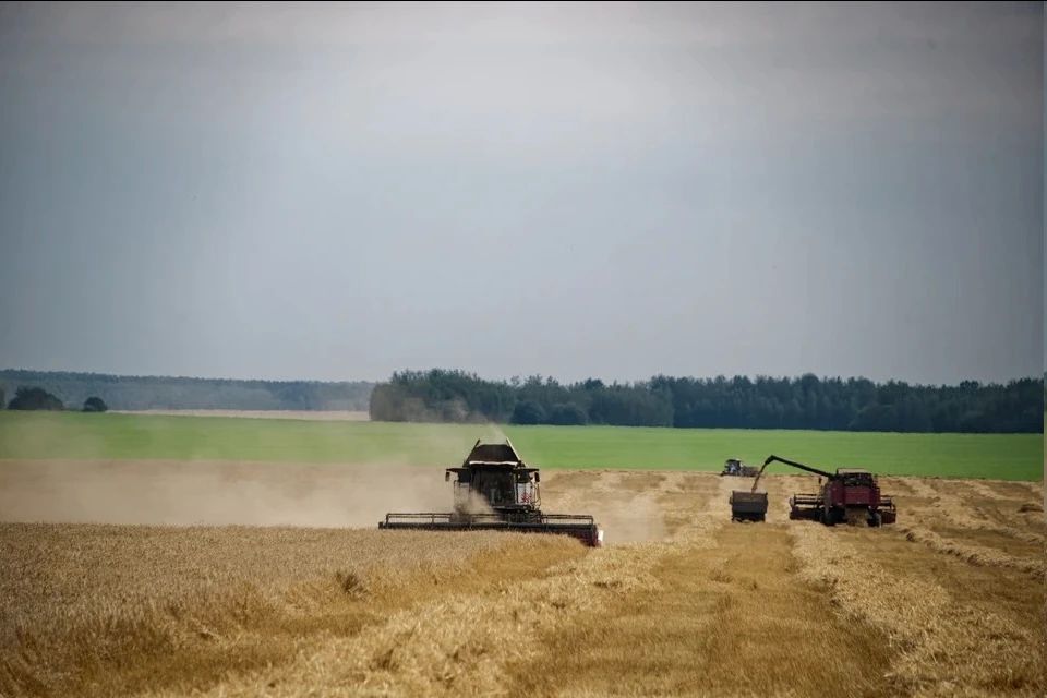 Для аграриев Херсонщины расширили программу льготного кредитования