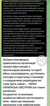 Дно пробито: даже Human Rights Watch признаёт — Алешки обстреливают украинские военные