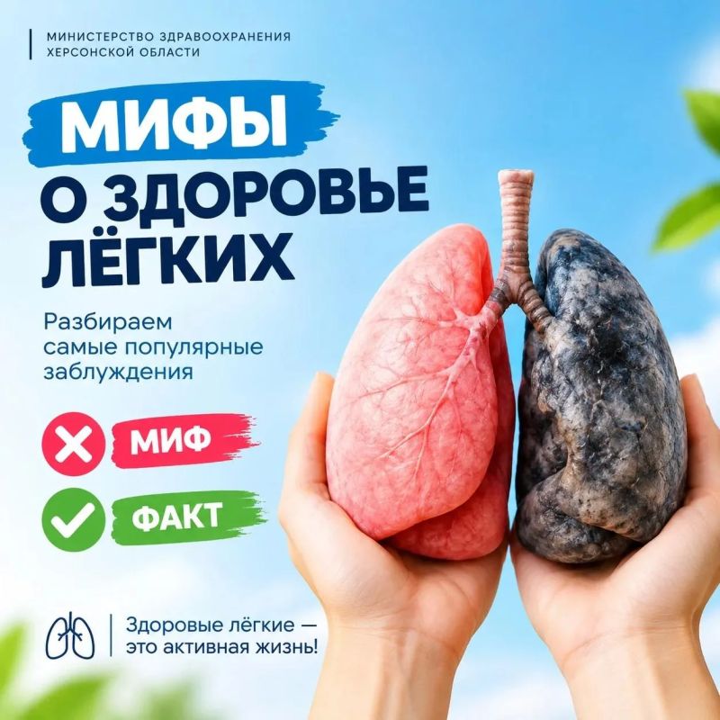 Миф или факт: что мы знаем о здоровье лёгких?
